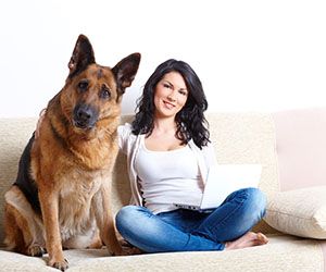 Hundehaftpflicht&shy;versicherung